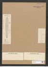 Sceptroneis dubia Grun. (de-Toni-Nr.: Genus 63, Species 2572) Zeichnungen Sammlung Grunow Nr. 5129 (NHMW-BOT-W0373437)